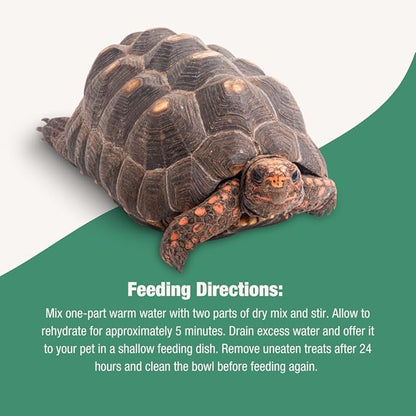 Fluker's Grub Bag Calcium Fortified Tortoise Treats, All Natural Herbivore Blend Fruits and Vegetables, for Tortoise and Herbivore Pets, 4 oz Flukers