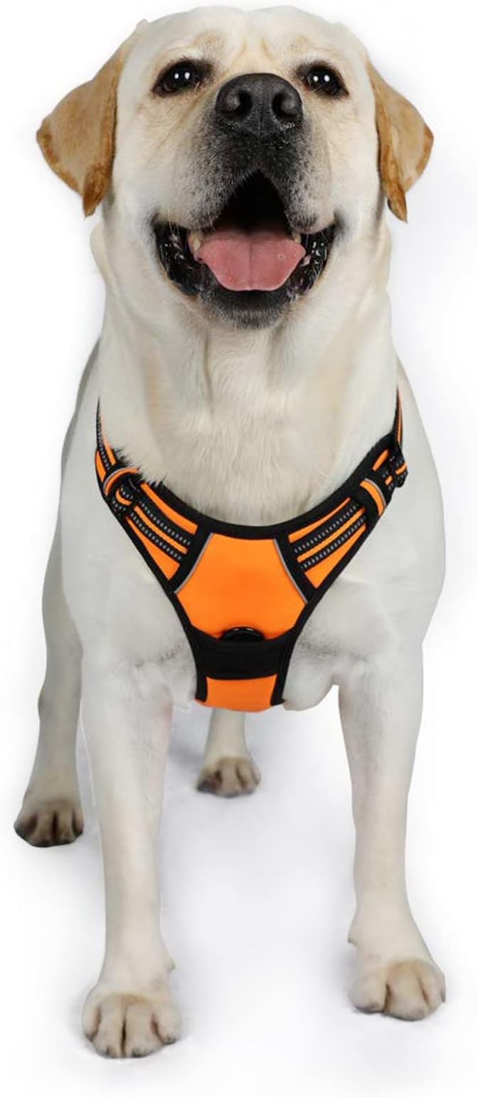 rabbitgoo Dog Harness, No-Pull Pet Harness with 2 Leash Clips, Adjustable Soft Padded Dog Vest, Reflective No-Choke Pet Oxford Vest with Easy Control Handle for Large Dogs, Orange, XL - PAWPICO