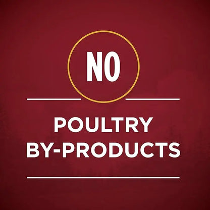 Purina ONE Wet Dog Food True Instinct Classic Ground Grain-Free Formula With Real Turkey And Venison High Protein Wet Dog Food - (Pack of 12) 13 oz. Cans - PAWPICO