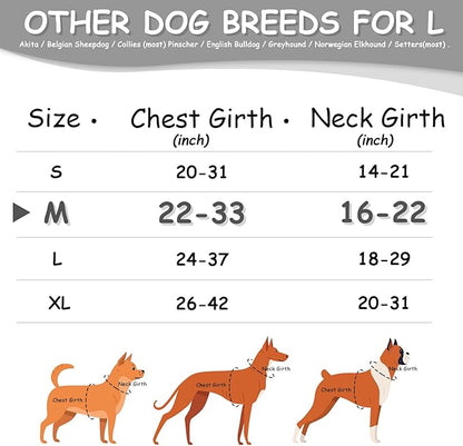 AUROTH Dog Harness Medium Sized Dog, Dog Vest Harness Medium Size Dog, Medium Dog Harness, No Pull Dog Harness for Medium Dogs with Handle, Black M AurothPets