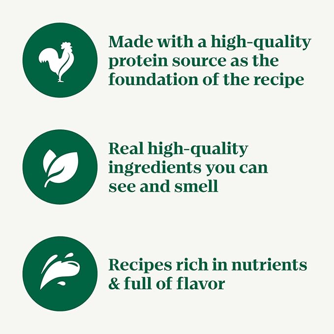 Nutro Crunchy Dog Treats With Real Mixed Berries, 16 oz. Bag - PAWPICO