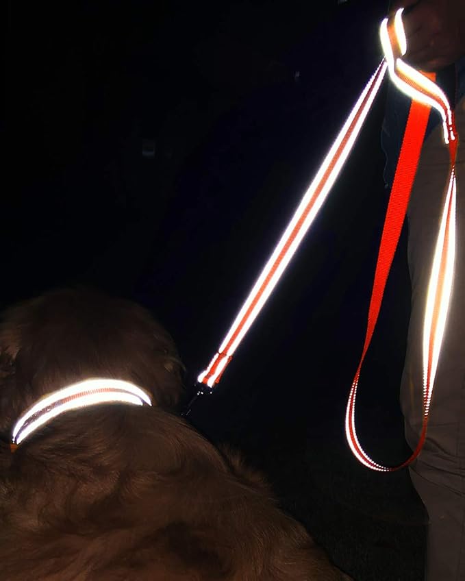 Joytale Double-Sided Reflective Dog Leash, 6 FT/5 FT/4 FT, Padded Handle Nylon Heavy Duty Leashes for Medium & Large Dogs Walking, Orange, 6FT Joytale