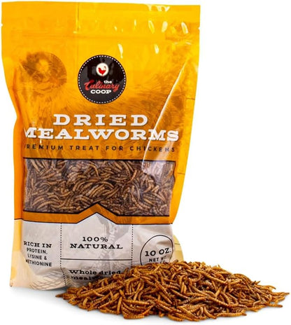 Fluker's Culinary Coop Premium Chicken Treats, Mealworms 10 oz, High Protein Worm, Nutritious Treat Flukers