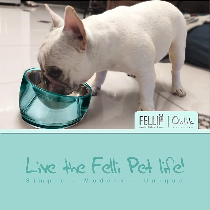 Felli Pet Oblik Spill Proof Dog Food Bowl Raised with Acrylic Cone, Slanted Stainless Steel Oval Dish Pet Friendly Design, Angled Metal Feeder Elevated Non Slip for Frenchie Bulldog (1.5Cup, Classic) - PAWPICO