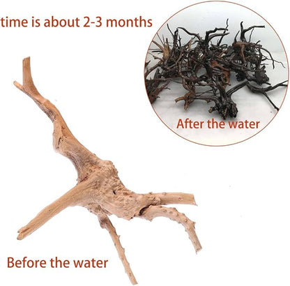Aquarium Driftwood Natural Spiderwood for Aquarium Decor 4PCS 6-8inch Driftwood Branches for Fish Tank Decorations CENIBBLE