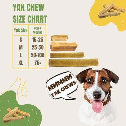 EcoKind Premium Gold Yak Cheese Himalayan Dog Chews, Healthy Dog Treats for Small Dogs, High Protein, All Natural, Long-Lasting Chew, Small - 8 Chews - PAWPICO