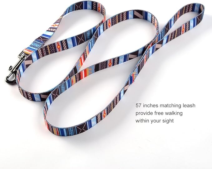 Ihoming Puppy Collar and Leash Set for Daily Outdoor Walking Running Training, Splicing Design for Extra Small Boys Girls Dogs Cats Pets, XS-Up to 10LBS Ihoming