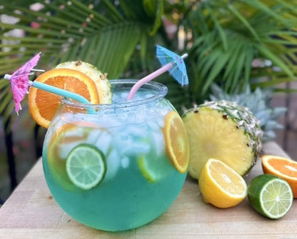 Aquatic Wonder 2 Gallon Fish Bowl, Round Crystal Clear Plastic is Break-Resistant and Light Weight. Ideal for Betta Fish Aquarium, Home décor and Party Drinks Hank+%26+Harley