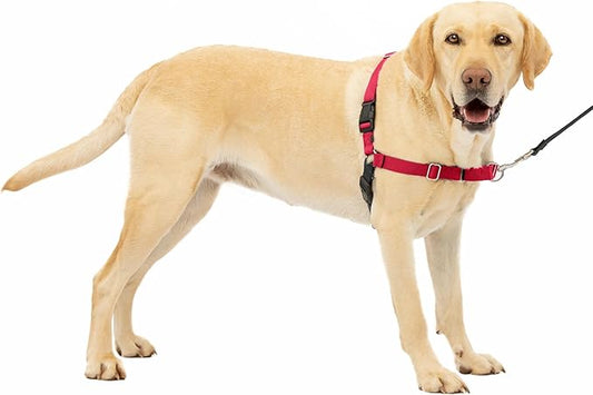 PetSafe Easy Walk No-Pull Dog Harness - The Ultimate Harness to Help Stop Pulling - Take Control & Teach Better Leash Manners - Helps Prevent Pets Pulling on Walks, Large, Red/Black PetSafe