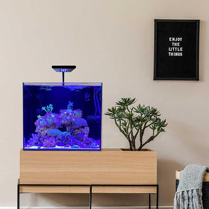 CURRENT Orbit Marine NANO LED 16 Watt Reef LED Saltwater Marine Aquarium Coral Light with Dimming, Moonlight, Cloud Cover & Lighting Storm Clip On Small Fish Tank w/Mounting Bracket (4095) Current+USA