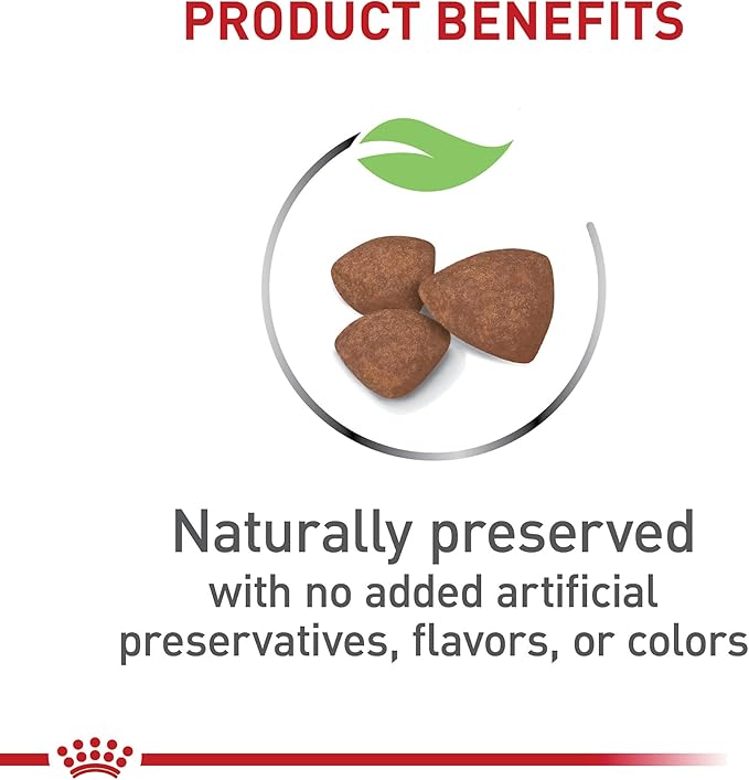 Royal Canin Size Health Nutrition Small Breed Dry Puppy Food, Supports Brain Development, Immune Support, and Digestive Health, 14 lb Bag - PAWPICO