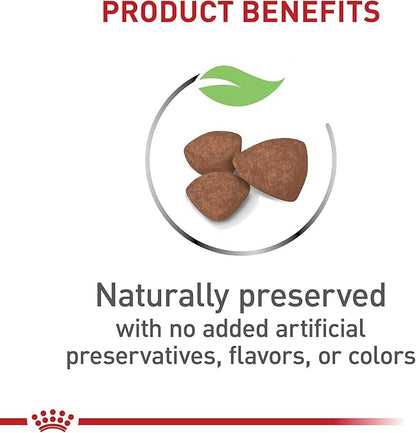 Royal Canin Size Health Nutrition Small Breed Dry Puppy Food, Supports Brain Development, Immune Support, and Digestive Health, 14 lb Bag - PAWPICO