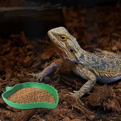 4Pack Terrarium Bowls Turtle Feeding Dishes Shallow and Flat Reptile Food and Water Feeder for Tortoise,Bearded Dragon,Lizards,Gecko,Cute Leaf and Mango Shaped SLSON