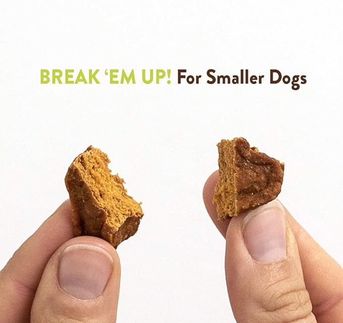 Rachael Ray Nutrish Savory Roasters Real Meat Dog Treats, Roasted Chicken Recipe, 12 Ounces, Grain Free - PAWPICO