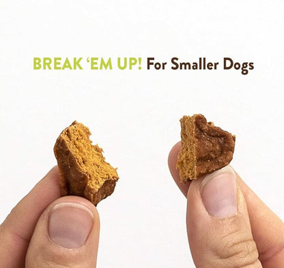 Rachael Ray Nutrish Savory Roasters Real Meat Dog Treats, Roasted Chicken Recipe, 12 Ounces, Grain Free - PAWPICO