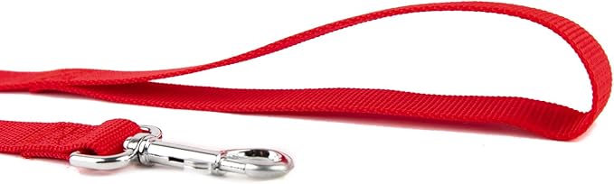 Nylon Dog Training Leash, Traction Rope, 4Ft /5 Foot /6 Feet Long, 5/8 inch 3/4 Inch 1 Inch Wide, for Small and Medium Dogs (1'' x 12 FT, Red) - PAWPICO