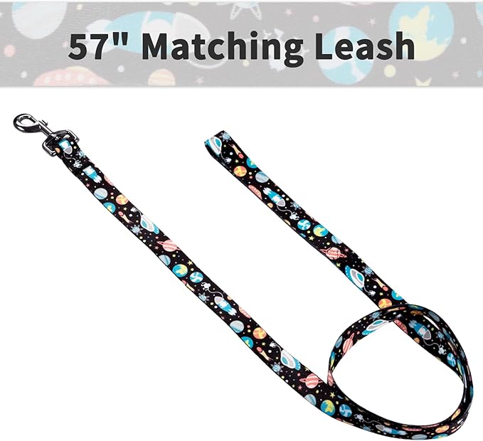 Ihoming Puppy Collar and Leash Set for Daily Outdoor Walking Running Training, Space Design for Extra Small Boys Girls Dogs Cats Pets, XS-Up to 10LBS Ihoming