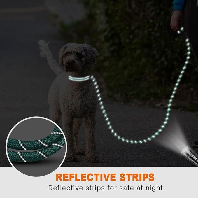 Taglory Rope Dog Leash 6 FT with Comfortable Padded Handle, Highly Reflective Threads Leash for Small Dogs, 3/8 inch, Turquoise Taglory