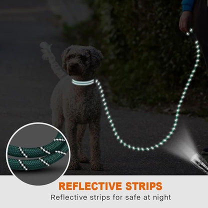Taglory Rope Dog Leash 6 FT with Comfortable Padded Handle, Highly Reflective Threads Leash for Small Dogs, 3/8 inch, Turquoise Taglory