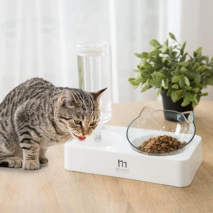 Marchul Tilted Cat Food Bowl with Feeding Mat for Food and Water, Food Feeding Dishes for Raised Cats and Puppies - PAWPICO