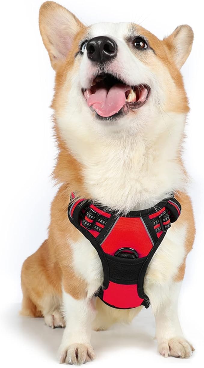 rabbitgoo Dog Harness, No-Pull Pet Harness with 2 Leash Clips, Adjustable Soft Padded Dog Vest, Reflective No-Choke Pet Oxford Vest with Easy Control Handle for Medium Dogs, Red, M - PAWPICO