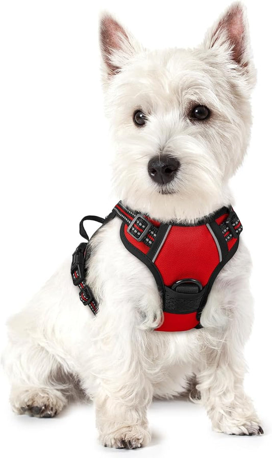 rabbitgoo Dog Harness No Pull with 2 Leash Clips, Adjustable Soft Padded, Reflective Oxford No Choke Pet Vest with Easy Control Handle for Puppy, Red,XS rabbitgoo