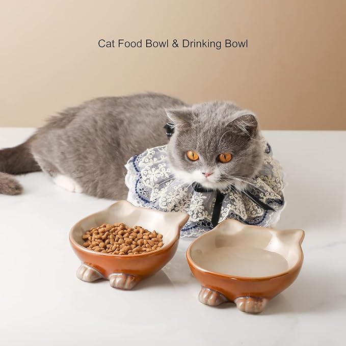 Nihow Ceramic Basic Cat Bowls: 5 Inch Cat Bowl for Food & Water - Food Grade Cat Dish for Small-Sized Cat - Microwave & Dishwasher Safe -Elegant Brown (4.25 OZ /1 PC) - PAWPICO