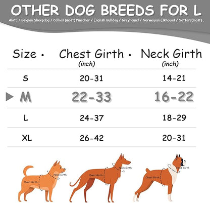 AUROTH Dog Harness Medium Sized Dog, Dog Vest Harness Medium Size Dog, Medium Dog Harness, No Pull Dog Harness for Medium Dogs with Handle, Grey M AurothPets