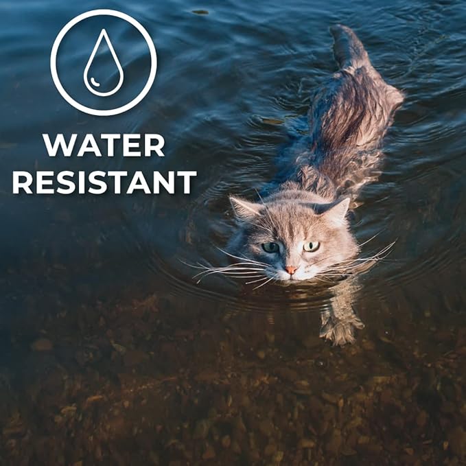 Hip + Joint Mobility Collar for Cats with Glucosamine, Chondroitin, MSM, and More | Convenient & Easy | 30 Days of Continuous Support | Water Resistant, Adjustable Activphy