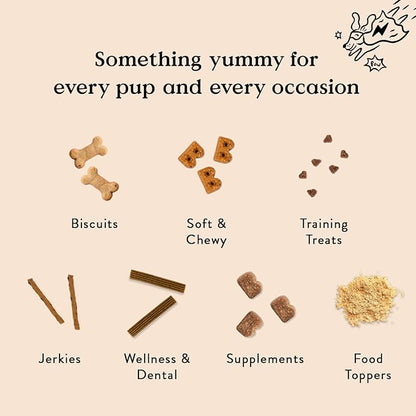 Bocce's Bakery by The Fire Assorted Treat Bundle for Dogs, Wheat-Free Everyday Dog Treats, Made with Real Ingredients, Baked in The USA, All-Natural Soft & Chewy Cookies, 6 oz Each - PAWPICO