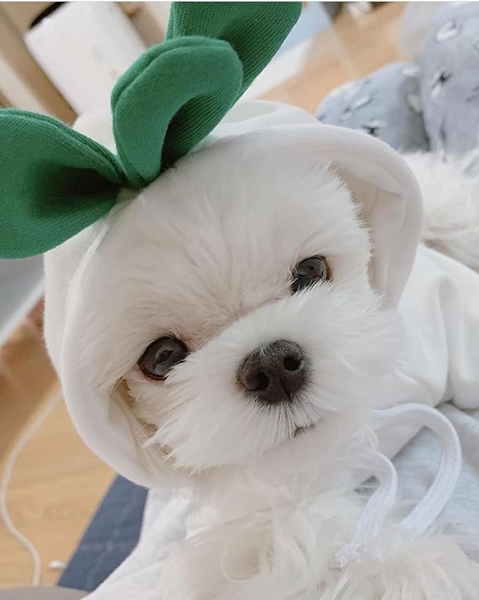 Warm Dog Winter Clothes Cute Fruit Dog Coat Hoodies Fleece Pet Dogs Costume Jacket for French Bulldog Chihuahua Ropa para Perro(White Carrot,XXL) - PAWPICO