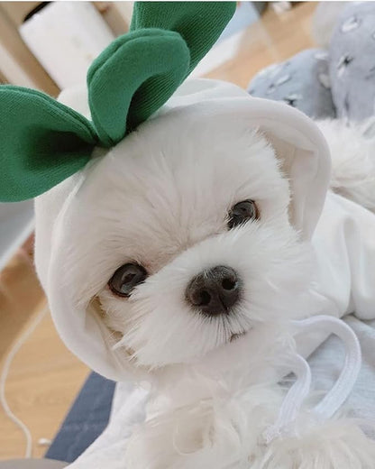 Warm Dog Winter Clothes Cute Fruit Dog Coat Hoodies Fleece Pet Dogs Costume Jacket for French Bulldog Chihuahua Ropa para Perro(White Carrot,XXL) - PAWPICO