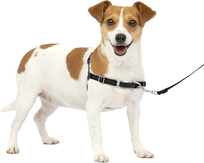 PetSafe Easy Walk No-Pull Dog Harness - The Ultimate Harness to Help Stop Pulling - Take Control & Teach Better Leash Manners - Helps Prevent Pets Pulling on Walks, Small, Charcoal/Black PetSafe