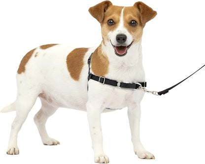 PetSafe Easy Walk No-Pull Dog Harness - The Ultimate Harness to Help Stop Pulling - Take Control & Teach Better Leash Manners - Helps Prevent Pets Pulling on Walks, Small, Charcoal/Black PetSafe