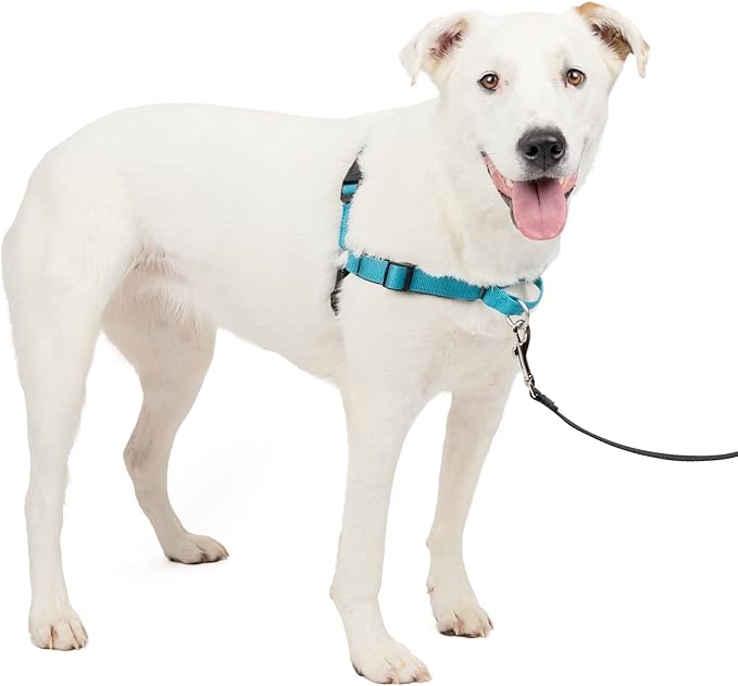 PetSafe Easy Walk Deluxe Dog Harness, No Pull Dog Harness – Perfect for Leash & Harness Training – Stops Pets from Pulling and Choking on Walks – Medium/Large, Ocean PetSafe