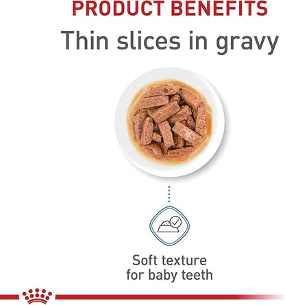 Royal Canin Size Health Nutrition Large Puppy Thin Slices in Gravy Wet Dog Food, 13 Oz Can (6-Pack) - PAWPICO
