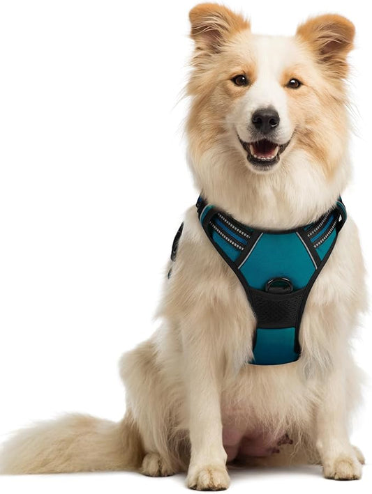 rabbitgoo Dog Harness No Pull with 2 Leash Clips, Adjustable Soft Padded, Reflective Oxford No Choke Pet Vest with Easy Control Handle for Medium Sized Dogs, Blue Coral, M rabbitgoo