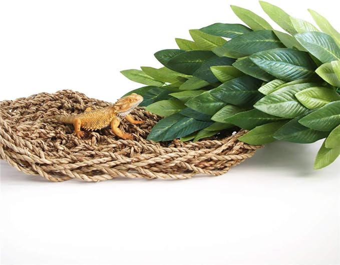 Reptile Plants Hanging Silk Terrarium Plant with Suction Cup for Bearded Dragons,Lizards,Geckos,Snake Pets and Hermit Crab Tank Habitat Decorations,Small Size,12 inches Green SLSON