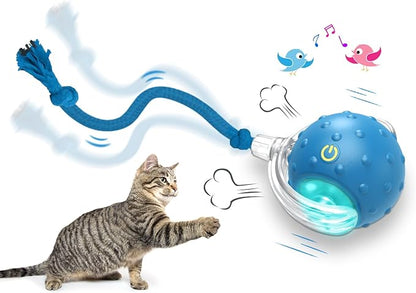 Interactive Cat Toys Ball for Indoor Cats Fast Rolling on Carpet, Chirping & Motion Activate Cat Toys (Blue) - PAWPICO