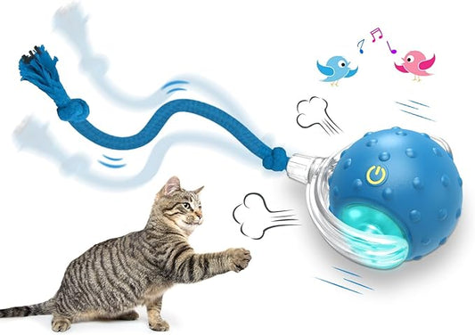 Interactive Cat Toys Ball for Indoor Cats Fast Rolling on Carpet, Chirping & Motion Activate Cat Toys (Blue) - PAWPICO