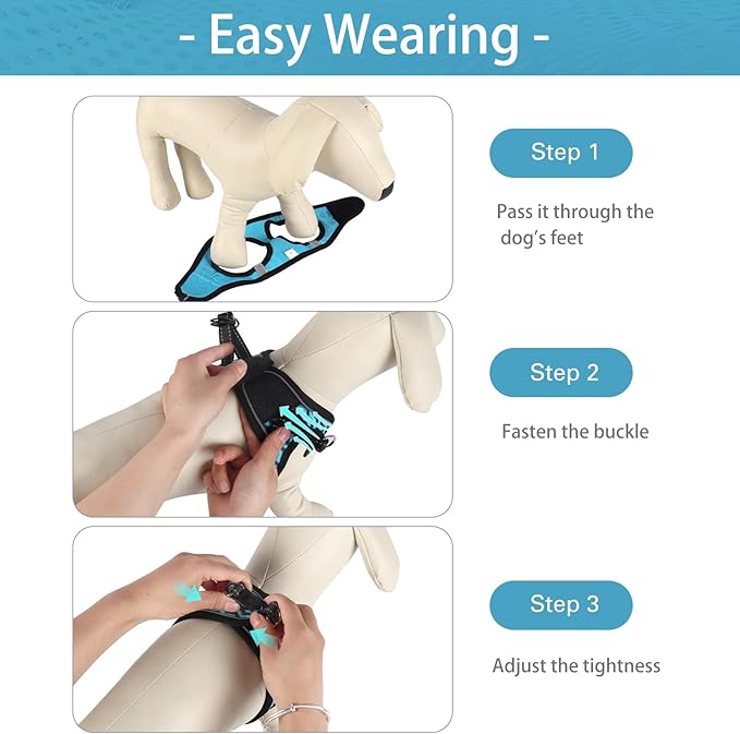 Dog Harness for Small Dogs, Small Dog Harness and Leash Set, Honeycomb Grid, Reflective Lightweight Harness & Anti-Twist Pet Lead,Dog Harness(Multi Color, Size: XS-S-M) (M, Blue) PAWPICO