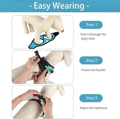 Dog Harness for Small Dogs, Small Dog Harness and Leash Set, Honeycomb Grid, Reflective Lightweight Harness & Anti-Twist Pet Lead,Dog Harness(Multi Color, Size: XS-S-M) (M, Blue) PAWPICO