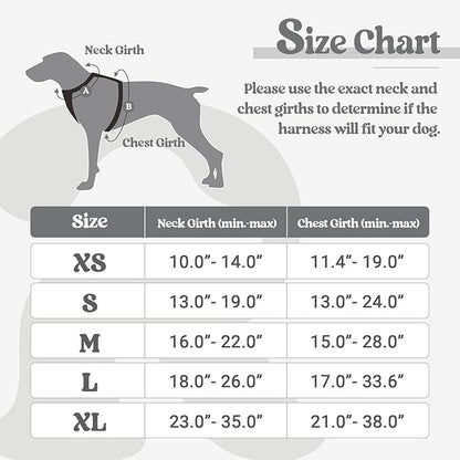rabbitgoo Dog Harness No Pull with 2 Leash Clips, Adjustable Soft Padded, Reflective Oxford No Choke Pet Vest with Easy Control Handle for Medium Sized Dogs, Grey, M rabbitgoo