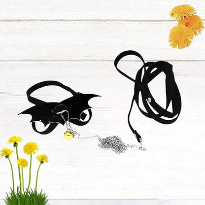 POPETPOP Turtle Harness and Leash Set : Tortoise Harness Strap with Wings Adjustable Collar Leash Walking Control Rope Great for Turtle (Black M) POPETPOP
