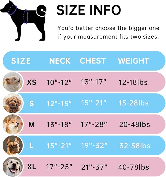 IVY&LANE No Pull Dog Harness for Small Dogs, Dog Vest Harness with Leash, Safety Belt and Storage Strap, Fully Adjustable Harness, 360° Reflective Strip, Soft Handle (Blue, S) IVYLANE