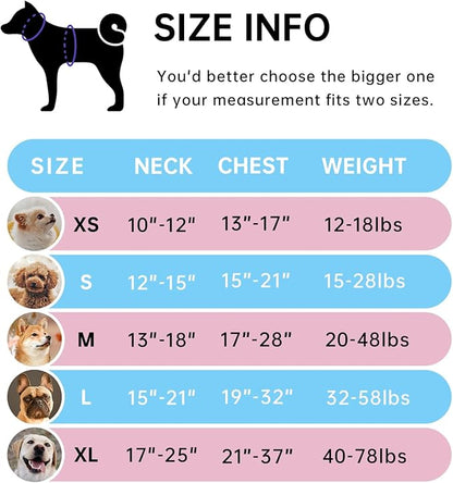 IVY&LANE No Pull Dog Harness for Large Dogs, Dog Vest Harness with Leash, Safety Belt and Storage Strap, Fully Adjustable Harness, 360° Reflective Strip, Soft Handle (Blue,XL) IVYLANE