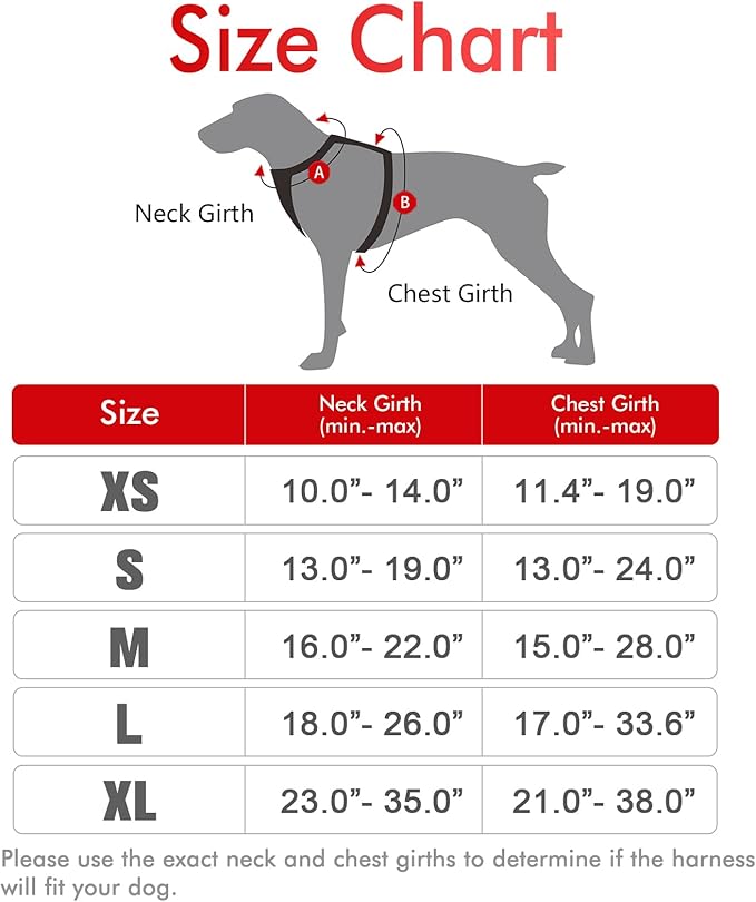 rabbitgoo Dog Harness, No-Pull Pet Harness with 2 Leash Clips, Adjustable Soft Padded Dog Vest, Reflective No-Choke Pet Oxford Vest with Easy Control Handle for Medium Dogs, Red, M - PAWPICO