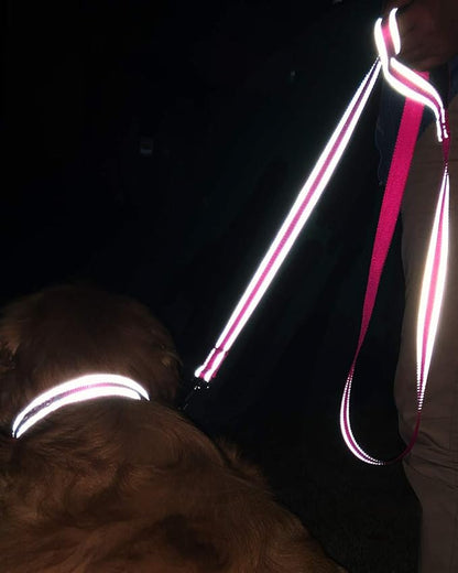 Joytale Double-Sided Reflective Dog Leash, 6 FT/5 FT/4 FT, Padded Handle Nylon Heavy Duty Leashes for Medium & Large Dogs Walking, Hotpink, 6FT Joytale