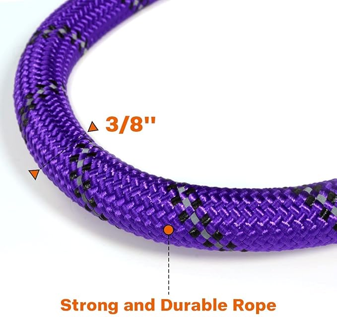 Taglory Rope Dog Leash 6 FT with Comfortable Padded Handle, Highly Reflective Threads Leash for Small Dogs, 3/8 inch, Purple Taglory
