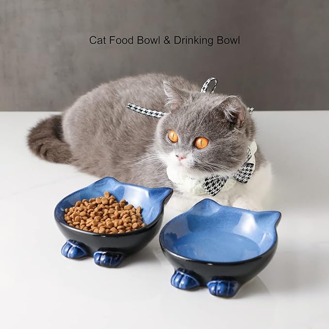 Nihow Ceramic Basic Cat Bowls: 5 Inch Cat Bowl for Food & Water - Food Grade Cat Dish for Small-Sized Cat - Microwave & Dishwasher Safe -Elegant Blue & Black (4.25 OZ /1 PC) - PAWPICO